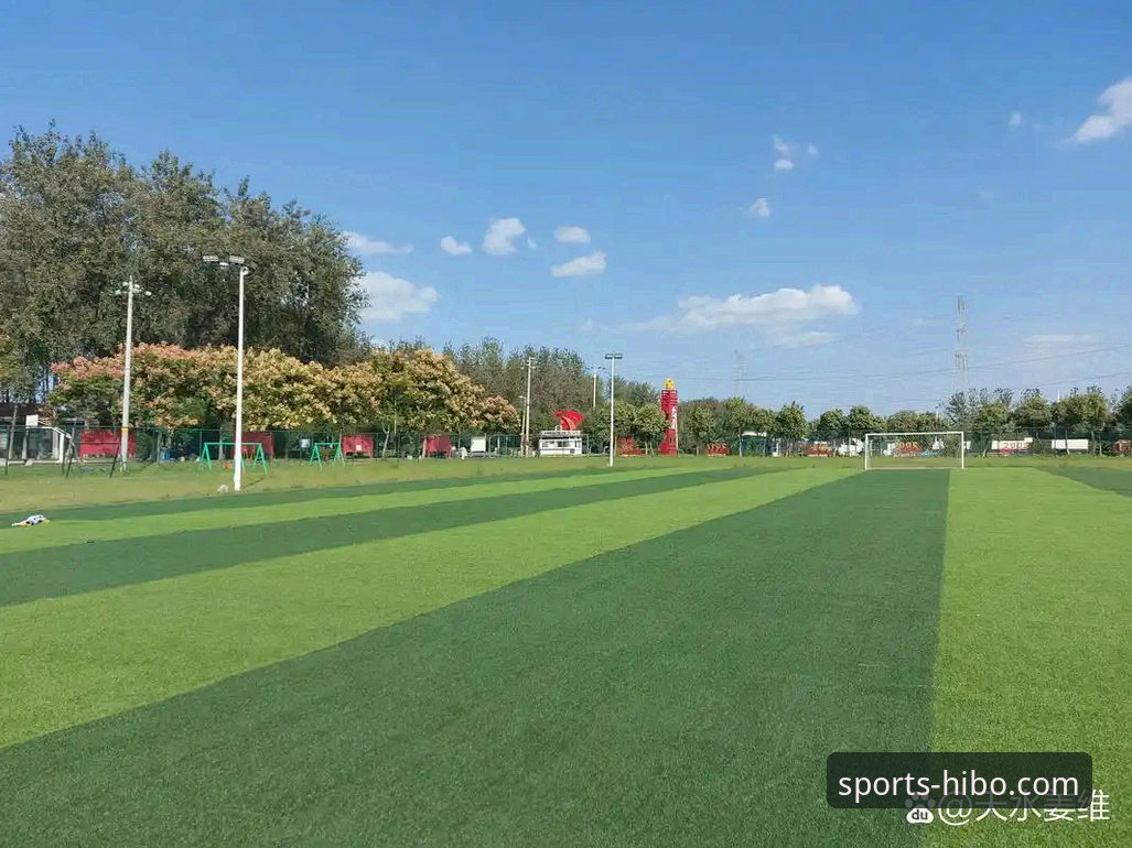 从“金元足球”到庭审现场：一场商业与体育交织的深度评测